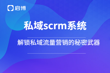 私域SCRM系统：解锁私域流量营销的秘密武器(什么是私域SCRM系统)
